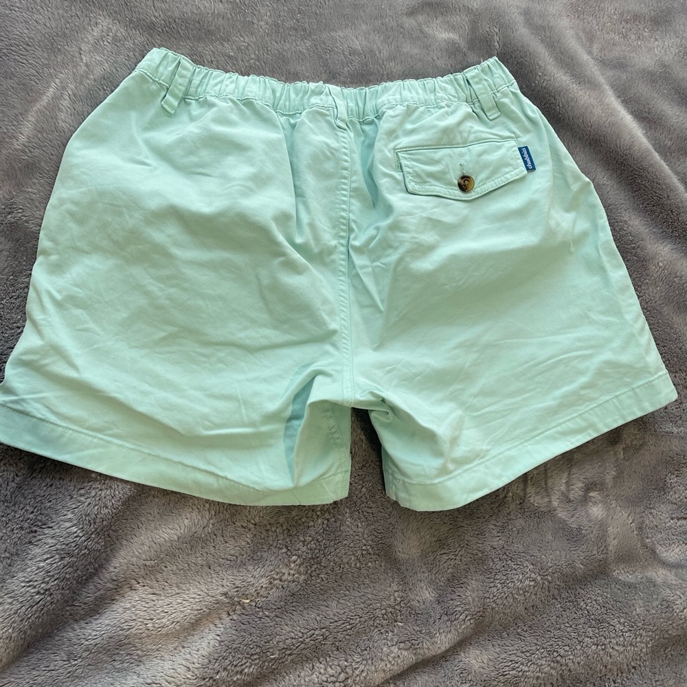 Chubbies Mens shorts